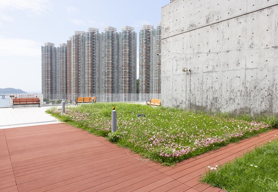 Green Curriculum