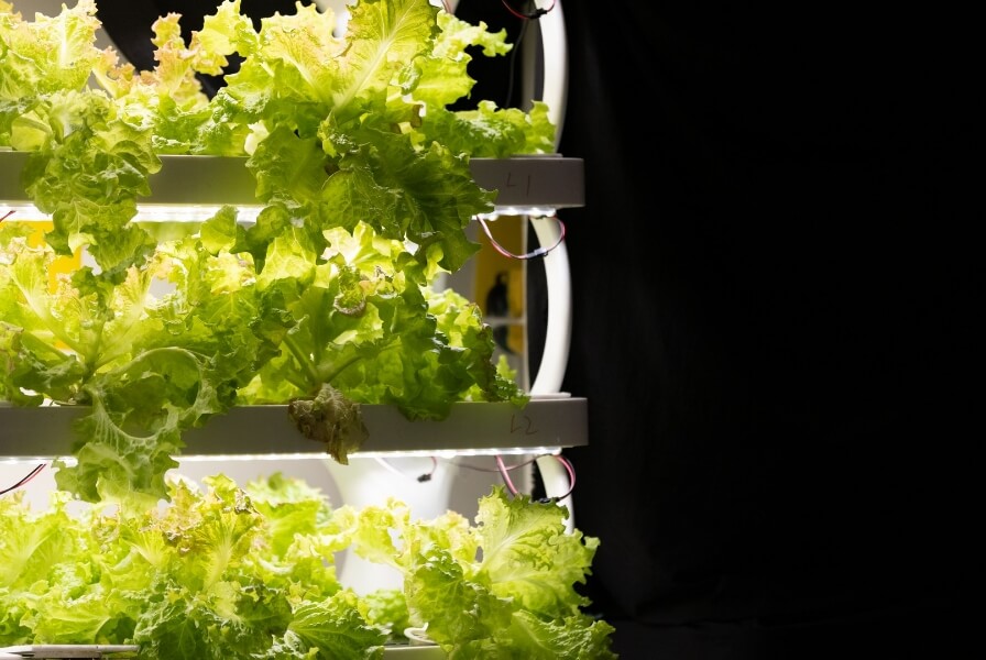 Green Education & Training