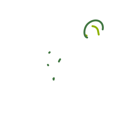 GREEN ECONOMY